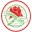 Adamstown Rosebud Football Team Results