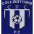 Collinstown FC