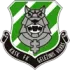 Geležinis Vilkas Football Team Results