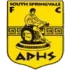 South Springvale Football Team Results