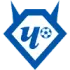 Chertanovo Football Team Results