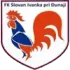 FK Slovan Ivanka pri Dunaji Football Team Results