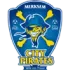 SC City Pirates Antwerpen Football Team Results