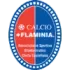 Virtus Flaminia Football Team Results