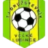 Tj Druzstevnik Velke Ludince Football Team Results