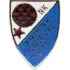 NK Zrinski Jurjevac Football Team Results