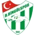 12 Bingolspor Football Team Results