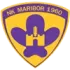 NK Maribor U19 Football Team Results