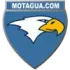Mortagua FC Football Team Results