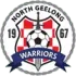 North Geelong Football Team Results