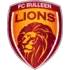 Bulleen Lions Football Team Results