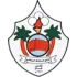 Al Rustaq Football Team Results