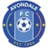 Avondale Football Team Results