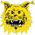 Ilves Women Football Team Results