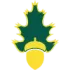 Forest Rangers Football Team Results