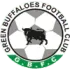 Green Buffaloes Football Team Results