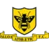 Alloa Football Team Results