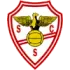 Salgueiros Football Team Results