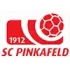 SC Pinkafeld Football Team Results