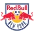 New York Red Bulls Football Team Results