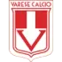 Varese Football Team Results