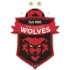 Wollongong Wolves Football Team Results