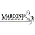Marconi Stallions Football Team Results