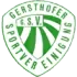 Gersthofer SV Football Team Results