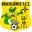 Brasiliense Football Team Results