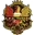 Tubize Football Team Results