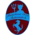 Puteolana Football Team Results