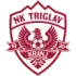 NK Triglav Kranj Football Team Results