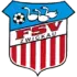 Zwickau Football Team Results