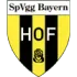 Bayern Hof Football Team Results