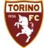 Torino Football Team Results