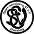 Elversberg Football Team Results