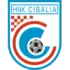 HNK Cibalia Football Team Results