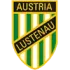 Austria Lustenau II Football Team Results