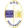 Pro Sesto Football Team Results