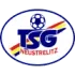 TSG Neustrelitz Football Team Results