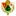 Cacereno