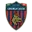 Cosenza Football Team Results