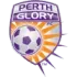 Perth Glory Football Team Results