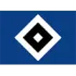 Hamburg Football Team Results