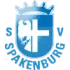 Spakenburg Football Team Results