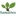 Samartex