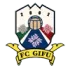 FC Gifu Football Team Results