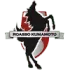 Roasso Kumamoto Football Team Results