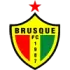 Brusque Football Team Results