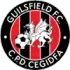 Guilsfield Football Team Results